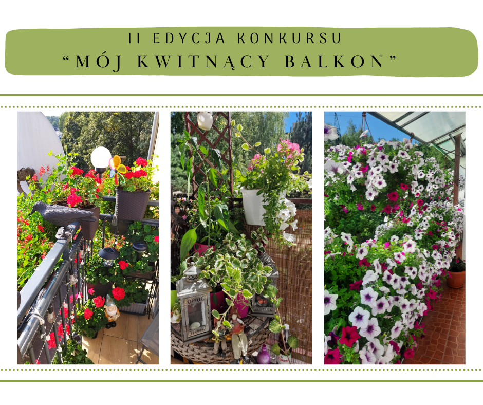 Zdjęcia ukwieconych balkonów, powyżej napis: Mój kwitnący balkon II edycja konkursu
