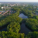 Trwają prace nad "Uniwersalnymi Standardami utrzymania terenów zieleni w miastach"